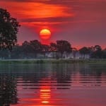 Isaac Belmonte avatar